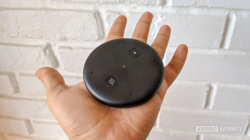 Amazon Echo Input size