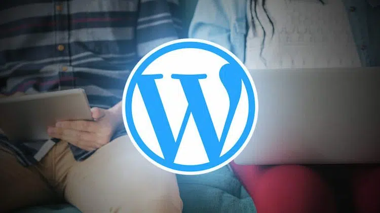 Pay What You Want: WordPress Hero Bundle