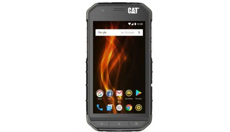 Cat S31